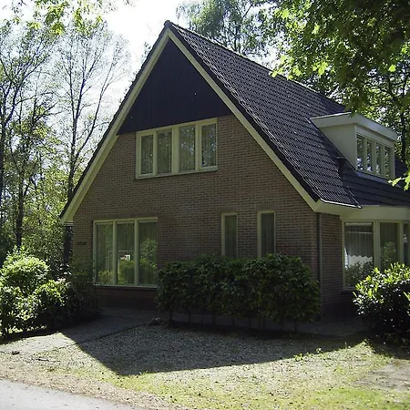 Ben's Dream De Woeste Hoogte